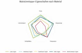 Wenn man weiß worauf es ankommt sind nur wenige. Neu Matratzen Topper Test 2020 2021 Marz Die Besten Topper