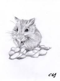 Black And White Animal Drawings Realistic New A5 Black White Art Print Cute Hamster Drawing Sketch Great Gift Idea Ebay Realistic Animal Drawings Animal Drawings Black And White Art Drawing