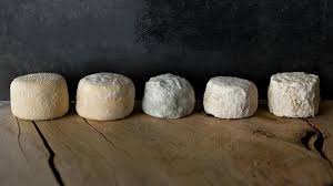 Crottin De Chavignol Chavignol Ou Crottin On Est Dans La Mouise Crottin De Chavignol Alimentation Fromage De Chevre