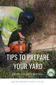 Key Tips To Prepare Your Yard Ready For Tree Removal Tree Removal How To Remove Tree