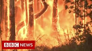 Australia Bushfires It S Like Fireballs Exploding In The Air Bbc News Australia New South Wales Fire Photography