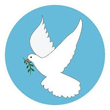 White Dove Illustration Vector On White Background Vector Illustration White Png And Vector With Transparent Background For Free Download Dove Drawing Freedom Bird Feather Drawing