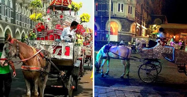 A Look at Mumbai's Iconic Horse Carriage Journey Till its End