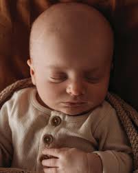 Stefanie Ford Photography