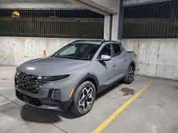 Image result for Hampton Gray 2022 Santa Cruz