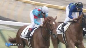 9日に札幌競馬場で行われる エルムs (3歳上・giii・ダ1700m)には、フルゲート14頭に対して17頭が登録している。 回避がなければ バスカヴィル までが出走圏内となっており、 アッシェンプッテル ・ デザートスネーク ・ ナイママ が除外対象となる。 æ–°æ½Ÿ2æ­³ã‚¹ãƒ†ãƒ¼ã‚¯ã‚¹2019 å‡ºèµ°äºˆå®šé¦¬ äºˆæƒ³ã‚ªãƒƒã‚º ç´ è³ªé¦¬ãŸã¡ãŒæ–°æ½Ÿã§æ¿€çª