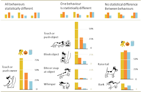 Visualising The Significance Of Jealous Dogs Wunder Bilder