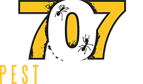 Provides a proactive approach to our maintenance programs, looking outside the box and preventing problems prior to their existence. 707 Pest Solutions Family Owned Pest Control In Humboldt