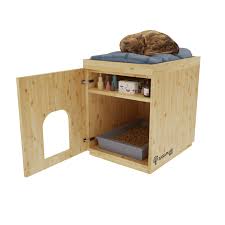 Cam Kedi Evi Ahsaba Dair Her Sey