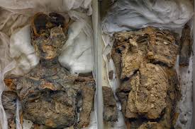 Buscando a Nefertiti