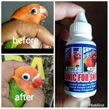 Obat tetes mata yang berisi air mata buatan dapat melembabkan permukaan mata dan sering digunakan untuk menangani mata kering. Sonic For Snot Vitamin Obat Burung Lovebrid Lazada Indonesia