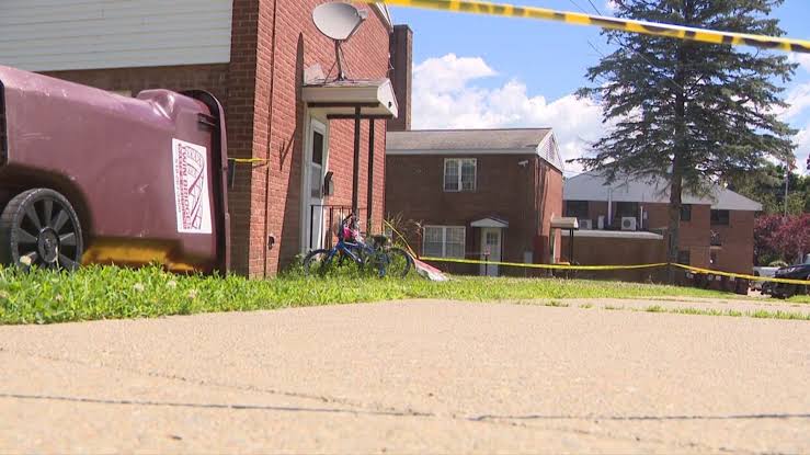Grandmother suspected of poisoning her daughter and 4 grandchildren, leading to their deaths: police
