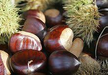 Most Seeds Come From Fruits Which Are Free Of The Fruit Unlike Nuts Such As Hazelnuts Hickories Chestn Roasted Chestnuts Nuts And Seeds Recipes Nuts Seeds