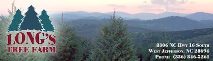 Come by and pick out your tree and accessories! Long S Tree Farm North Carolina Christmas Trees West Jefferson Nc