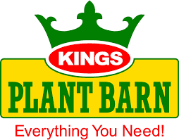 I always like to put a stake in the ground, especially for the taller varieties, before planting as it plant the growing tip of the bulb just below the surface of the soil with the tubers hanging down below. Faire Calmer Kings Plant Barn Botany Hours Spot And Stripe