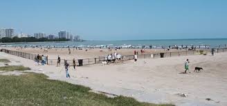 The dock is a cafe on montrose beach with a great view and mediocre food. Mondog Built With Sitepad