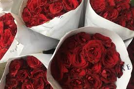 Bunga ini melambangkan cinta dan kecantikan. Jelang Valentine Harga Bunga Mawar Merah Di Pasar Rawa Belong Naik Halaman All Kompas Com