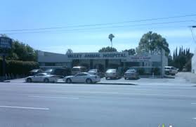 Valley Animal Hospital 7721 Sepulveda Blvd Van Nuys Ca 91405 Yp Com