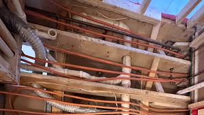 Fundraiser by Jennifer Coombes : Support Jen's Battle Against Toxic Mold