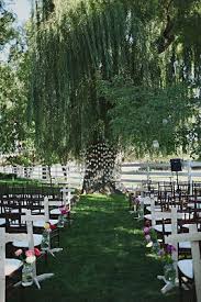 Pin By Kertney Brozyna On Wedding Willow Tree Wedding Tree Wedding Mason Jar Wedding