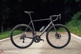 Image result for Orbea umbracula