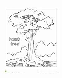 Amazon rainforest coloring pages animals coloring pages printable. Color The Kapok Tree Worksheet Education Com Tree Coloring Page Tree Drawing Rainforest Trees
