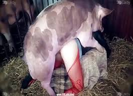 We did not find results for: Des Films De Cul Zoophiles Avec Des Cochons Et Des Jeunes Zoophiles De 18 Ans Et Plus Des Milfs Des Menageres Et Bien Plus