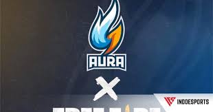 Inilah cara menjadi pro player ff mudah dan efektif agar level permainanmu semakin tinggi. Ikuti Free Fire Summer League Ini Profil Aura Nesc Indoesports