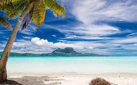Find images of bora bora. Landscape Nature Bora Bora Palm Trees Beach Sea Tropical Island Summer Mountains 1500x938 Uhd Wallpapers Walldump Free Hd And Uhd Wallpapers