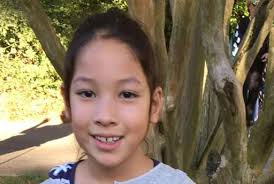 HVNA Newsletter Fall 2017