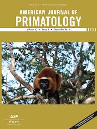 Image result for Grewia rugosifolia