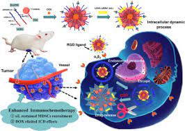 We did not find results for: Redox Responsive Nanoassembly Restrained Myeloid Derived Suppressor Cells Recruitment Through Autophagy Involved Lactate Dehydrogenase A Silencing For Enhanced Cancer Immunochemotherapy Sciencedirect