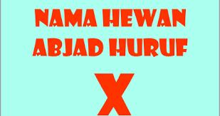 Nama benda dari a sampai z. Nama Nama Hewan Dari Huruf X