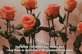 But he won't listen to me. Hopeless Fountain Kingdom Halsey Halsey Lyrics Halseylyrics Flower Aesthetic Peach Aesthetic Flowers