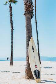 See more ideas about vintage surf, surfing, surfboard. 1500 Surf Pictures Download Free Images On Unsplash