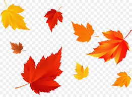 Fall season foliage close up of tree branch and leaves with soft blur background. Summer Flower Background Png Download 1142 819 Free Transparent Autumn Png Download Cleanpng Kisspng