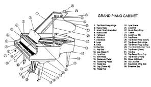 Grand Piano Diagram In 2019 Piano Parts Piano Baby Grand
