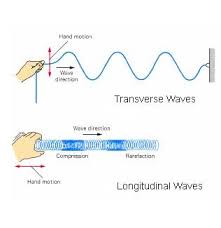 Transverse Waves Travel Perpendicular To Its Oscillator While The Longitudinal Wave Travel Parallel To Th Longitudinal Wave Physical Science Ultrasound Physics