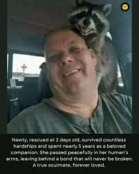 A fresh relationship is full of shocks and new experiences, yet you'd  imagine that after 63 years of marriage, a couple would be completely out  of amazement. You've learned every viewpoint, behavior,