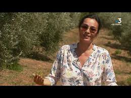 Une Huile D Olive Corse Parmi Les Dix Meilleures Du Monde Selon Un Classement Americain Youtube