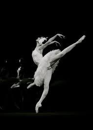Black And White Swan Ballet Svetlana Zakharova Performing The White Swan In Swan Lake Ballet Pictures Ballet Beautiful Ballet