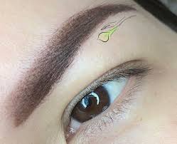 I'm thinking of getting a cat, and i'm wondering how much it costs to keep a healthy happy cat per month? Microblading Studio City Ca Askcares Askcares