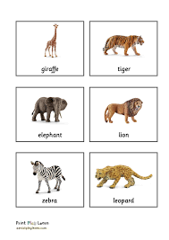 Jungle Animal Classification Cards Montessori Free Teaching Resources Print Play Learn Animal Flashcards Animal Classification Animal Learning