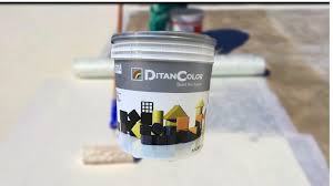 Image result for Ditan