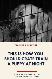 How To Train A Puppy Not To Cry In The Crate At Night Canine Weekly Dog Training Obedience Training Your Puppy Puppy Training