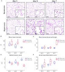 Maybe you would like to learn more about one of these? Lung Parenchyma Histology Results A Representative Images Of H E Download Scientific Diagram