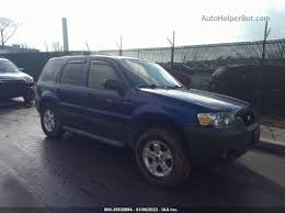 Image result for Sonic Blue 2006 Escape