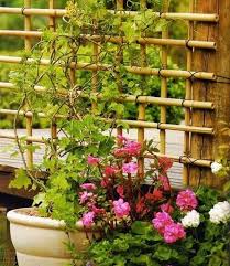 Deko Im Garten 85 Mobel Accessoires Zum Selbermachen Mit Bildern Bambusgitter Bambus Garten Rankgitter