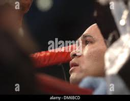 Jan 29, 2005; Atlantic City, NJ, USA; JESSE JAMES LEIJA struggles to get up  after he was knocked down for the last time by Arturo Gatti during their  WBC super lightweight title