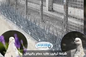 شركة تركيب طارد حمام بالرياض animals parrot